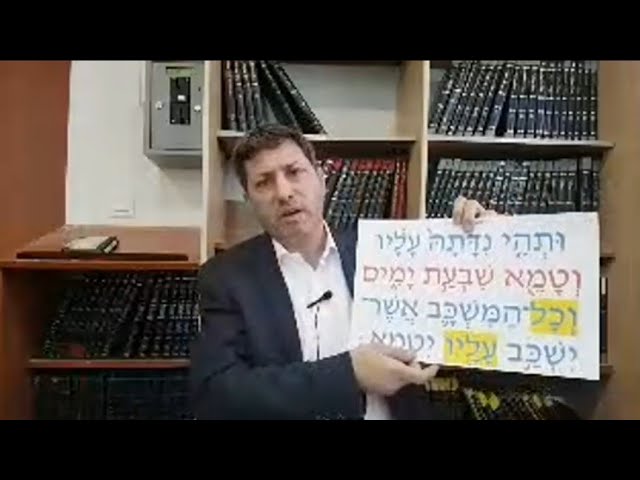 Daf Yomi Niddah Daf 33 by R' Eli Stefansky