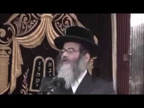 כשרות משקאות חריפים - הרב יצחק שטיין