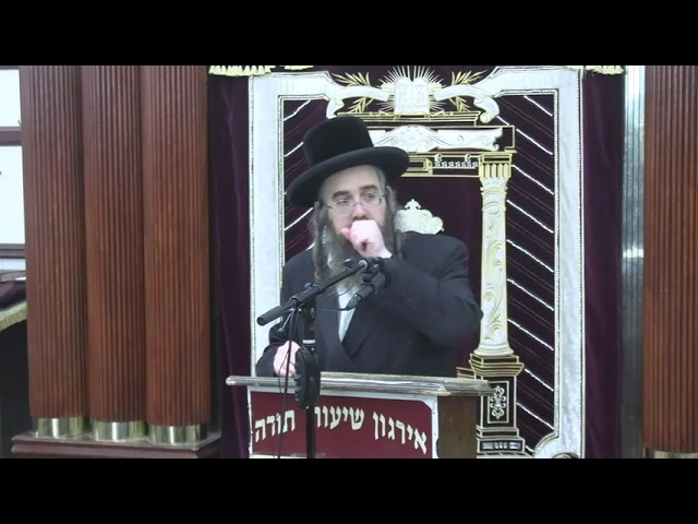 הלכות וענינים לבין המצרים - ר' אברהם שרייבער שליט"א