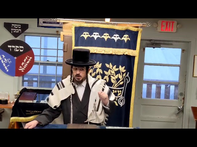 ליל הסדר - קדש ורחץ - Rav Benzion Sneh Chizzuk Yiddish Shiur at Scheiner's March 22