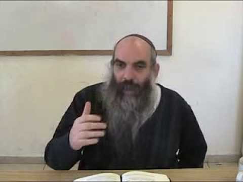 הרב יהושע שפירא - יש לך כנפי רוח - י"ט אדר א' תשע"ד