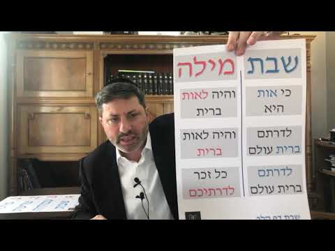 Daf Yomi Shabbos Daf 132 by R’ Eli Stefansky