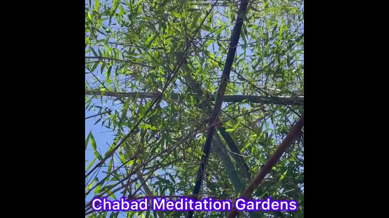 Chabad Meditation Gardens