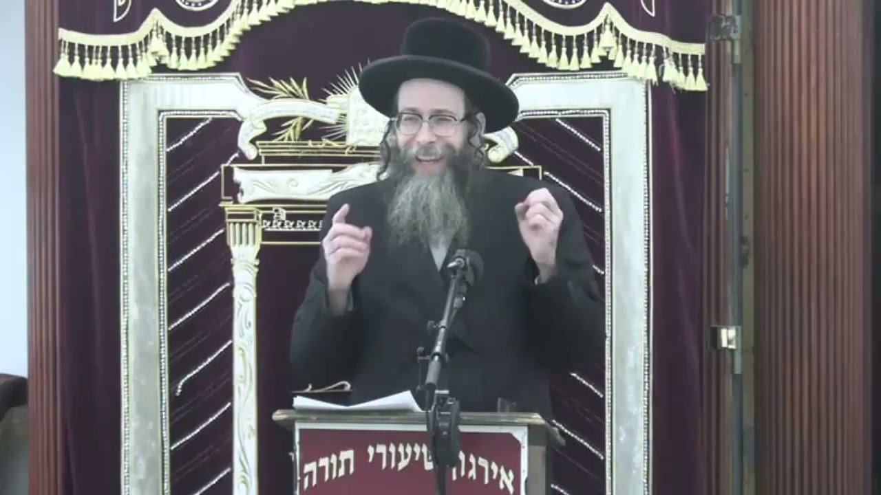 הלכות שהיה וחזרה בשבת -  ר' צבי אונסדארפער שליט"א