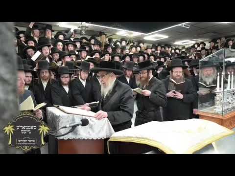 האדמו"ר מסאטמאר בעליה לציון אביו הברך משה ביום ההילולא כ"ו ניסן תשפ"ו