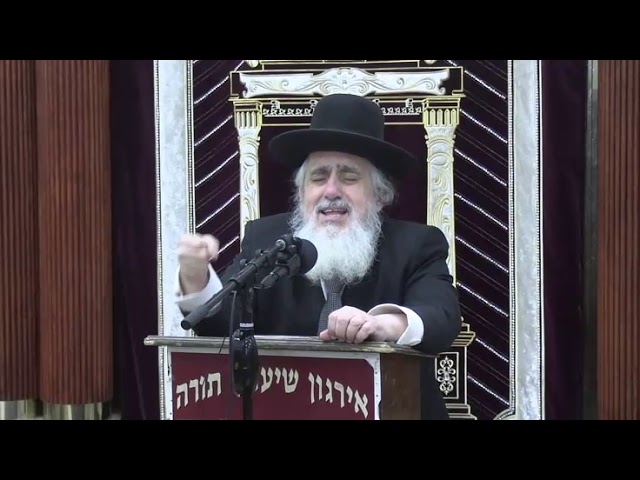 ליהודים היתה אורה ושמחה -  ר' אליעזר גינזבורג שליט"א