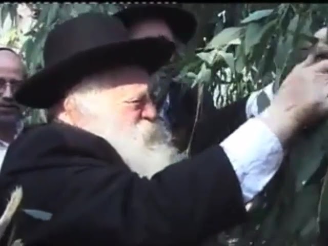 היסטארישע ווידעא פון מרן שר התורה הגאון רבי חיים קנייבסקי זצוק"ל