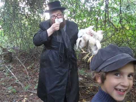מנשה שלאגט כפרות  % Pardon me! Menashe