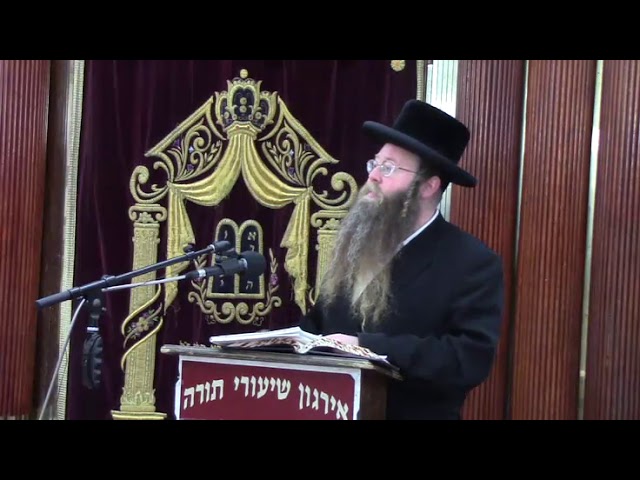 דיני אמירה לעכום בשבת - הרב שלמה לייזער