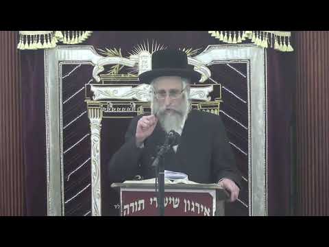 עצות איך לעשות קנין על כלים לפני טבילתם - ר' דוד לייב פישער שליט"א