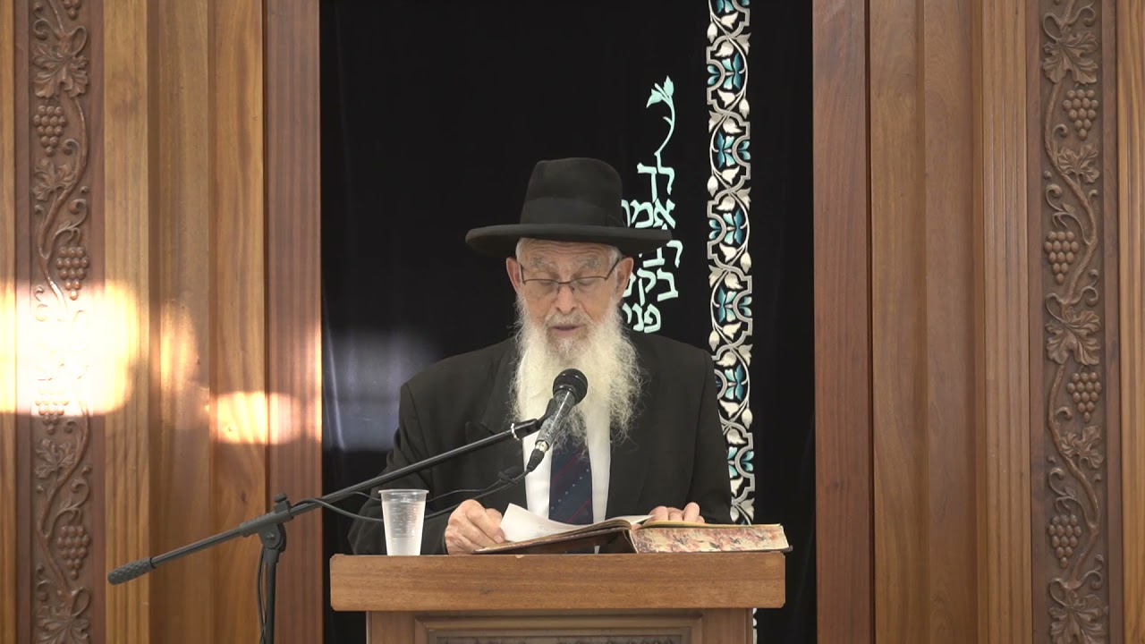 דברי הרב ודברי התלמיד דברי מי שומעין | שיעור כללי סנהדרין כט. | הרב יעקב אריאל