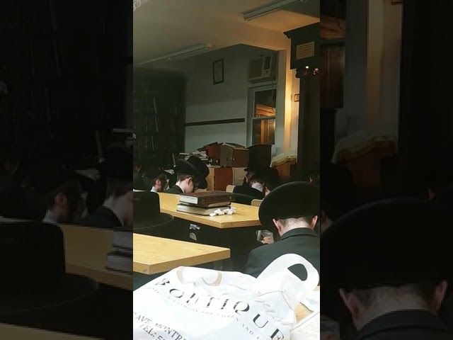 תשעה באב אצל כ"ק אדמו"ר מסקולען שליט"א בבית מדרשו במונטריאל יצ"ו חלק ב