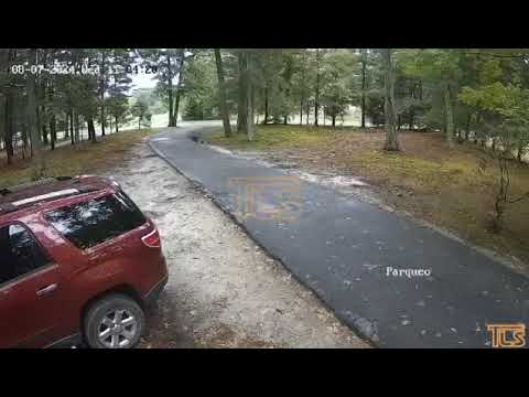 Wait for it - Howell NJ