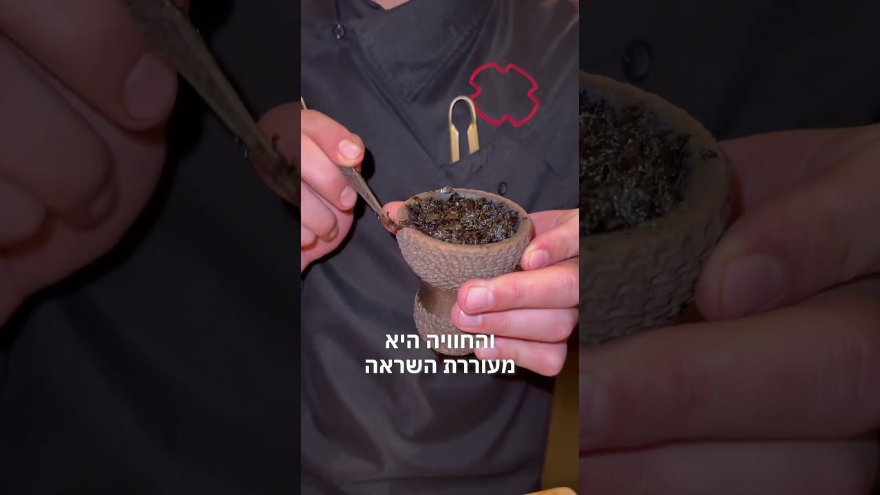 חויית הנרגילות הטובה בעולם