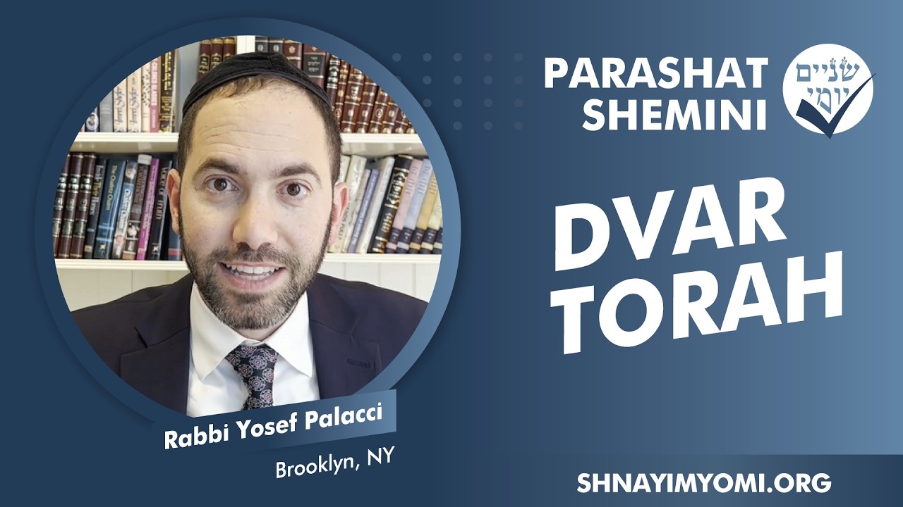 Shnayim Yomi - Shemini - Rabbi Yosef Palacci - DVAR TORAH