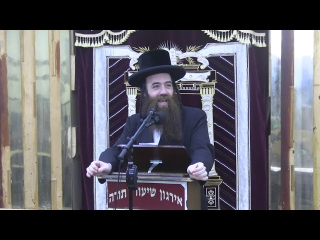 בית חולים בשבת בהלכה - ר' צבי זאב  בערגער שליט"א