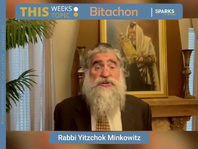 Bitachon for Sparks in Seconds by Rabbi Yitzchok Minkowicz