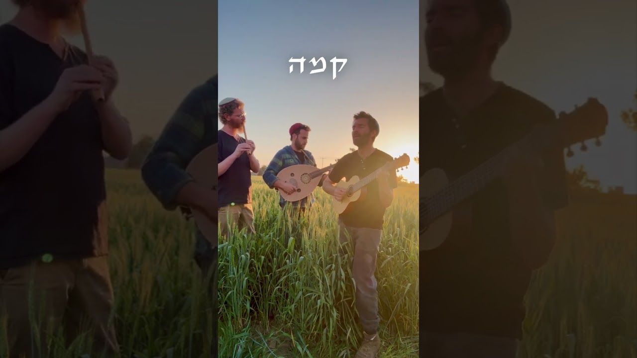 שיבולת בשדה כורעה ברוח