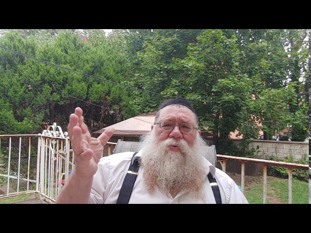 Tekios by the Rebbe