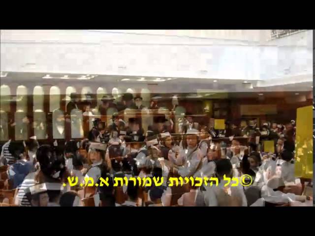 שמחת בית בעלזא | הקרי״ש ליינען לנכד האדמו״ר מבעלזא