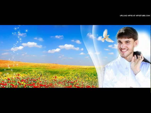 אייל טויטו - מחייך אל החיים
