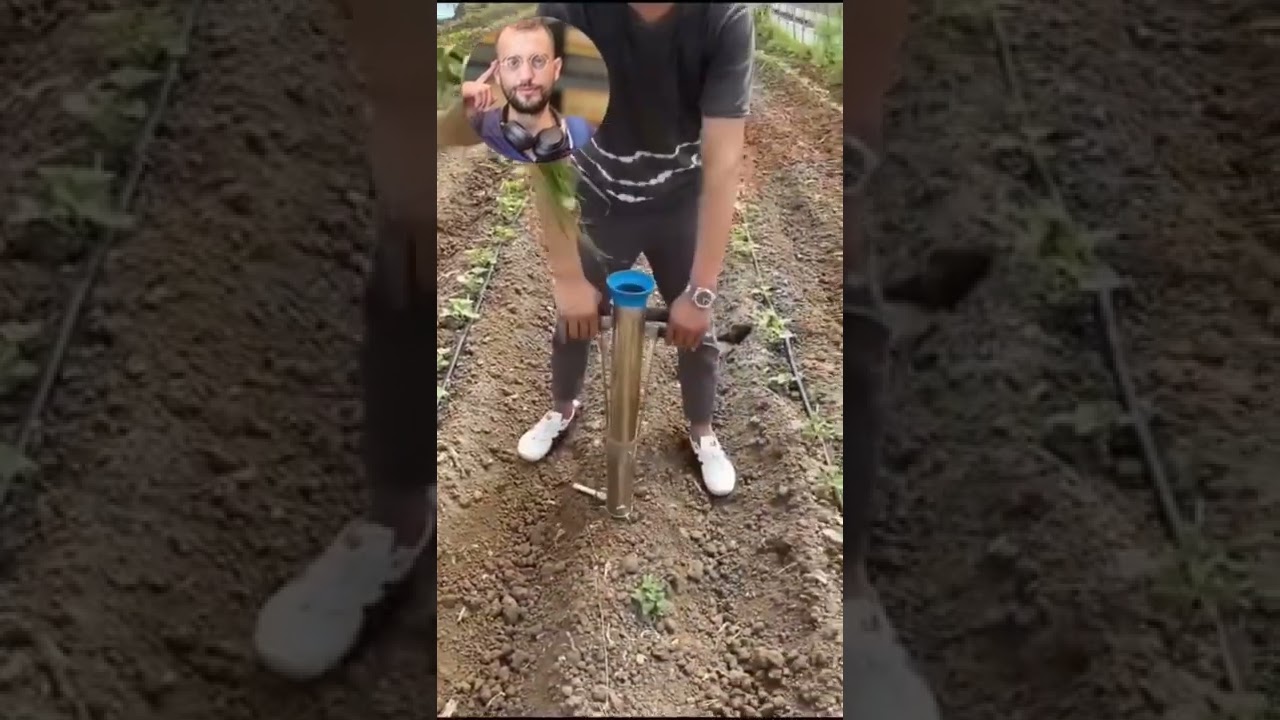הדלפה