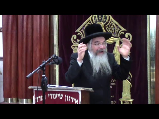 שאלות נחוצות לליל הסדר -  ר' אברהם חיים שטיינווארצעל