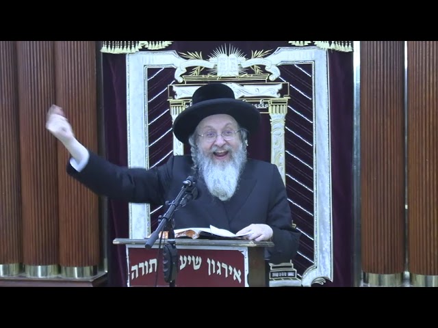 דיני רחיצה בשבת וביו"ט - ר' אהרן זילבערשטיין שליט"א
