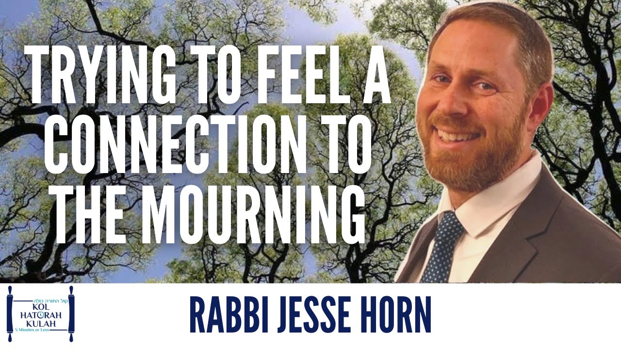 Trying to Feel a Connection to the Mourning - Rabbi Jesse Horn