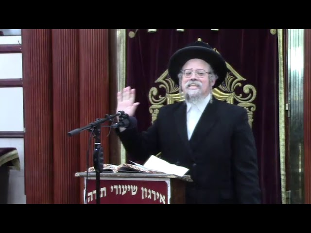 שיעור כללי בהלכות בורר בשבת וביו"ט - ר' יצחק אונסדארפער שליט"א