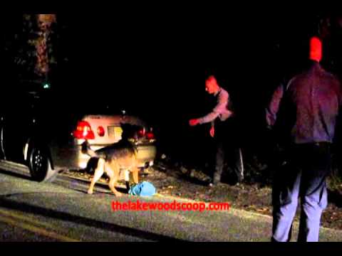 LPD Street Crimes Unit and OC K9 Dogs At Arrest