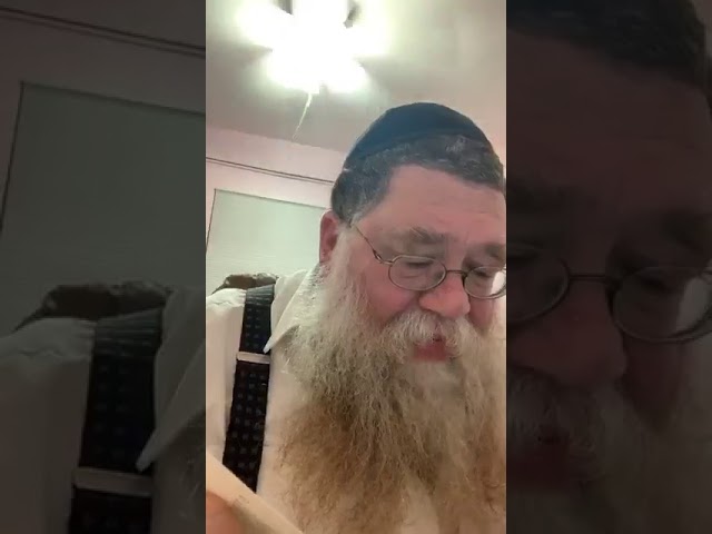 Practical Chasidus w R' Chaim Dalfin - Basi Legani #3