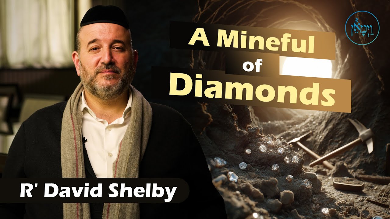 A Mineful of Diamonds | Rabbi David Shelby