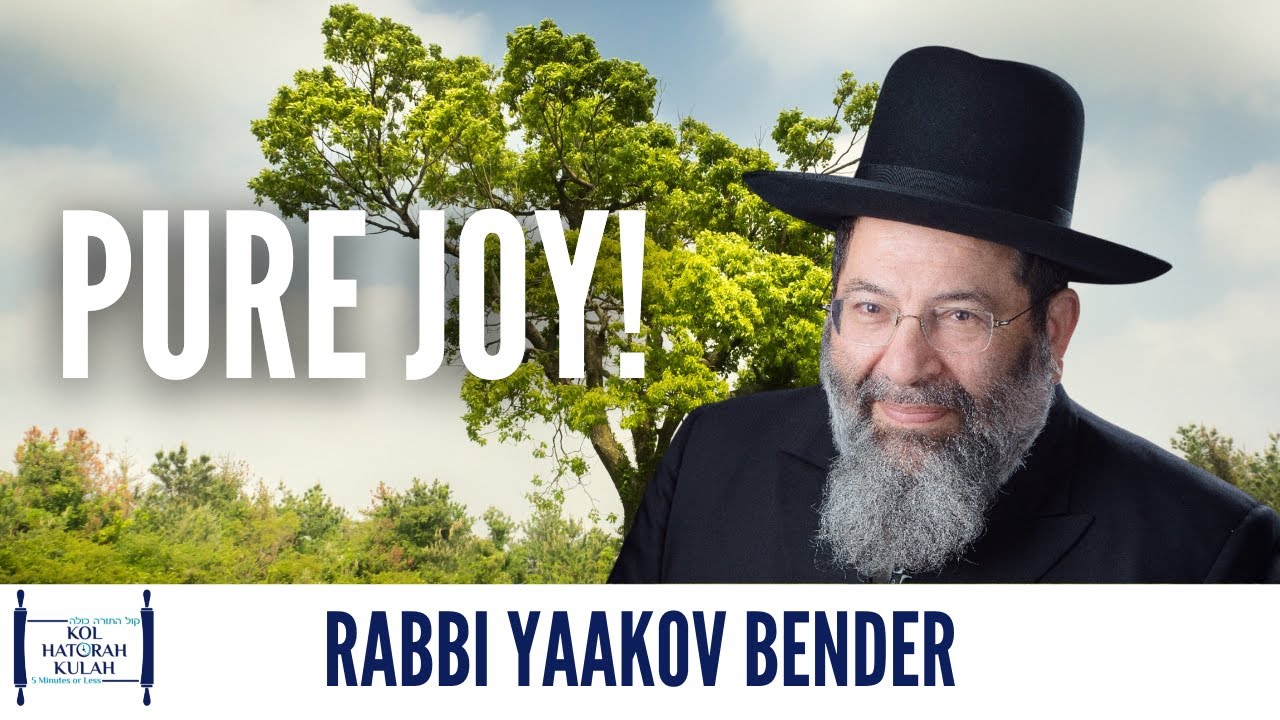 Pure Joy! - Rabbi Yaakov Bender