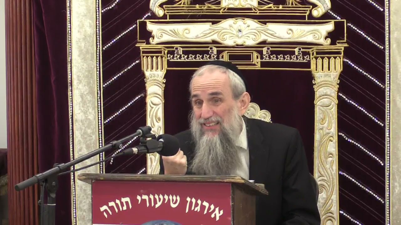 Building a Sukkah - A Practical Guide Rabbi Yakov Zev Smith