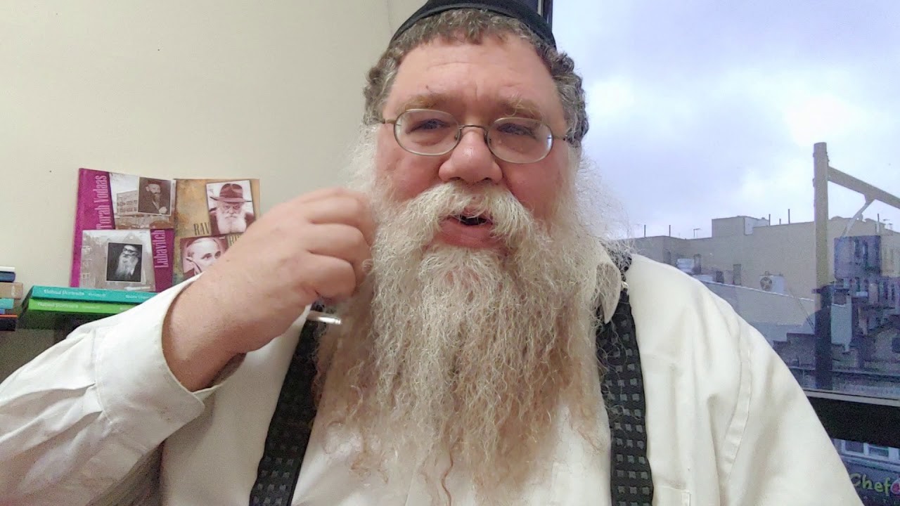 HaRav Mordechai Altein & Bronx Rabbanim