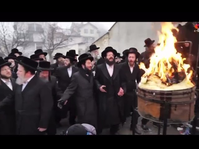 #רבי