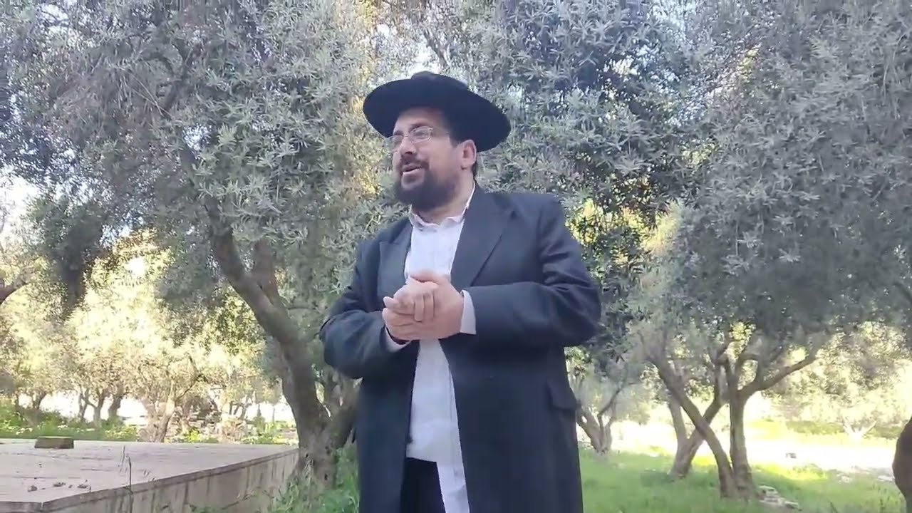 מחנה לוויה או מקדש מעט בהר הבית | הרב אליהו ובר