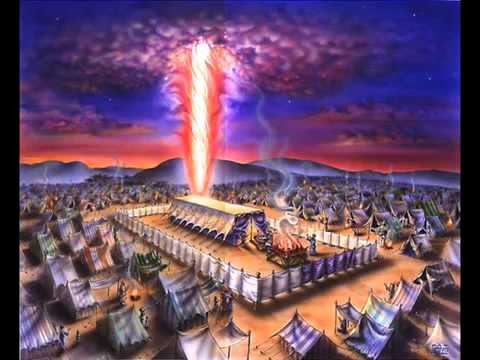 שיבי קלר - מה טובו