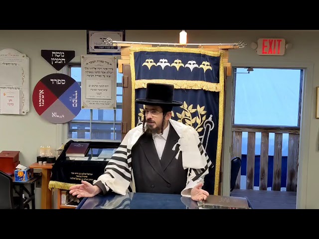 התעמלות - Daily Rav Benzion Sneh Shmooze at Scheiner's May 7