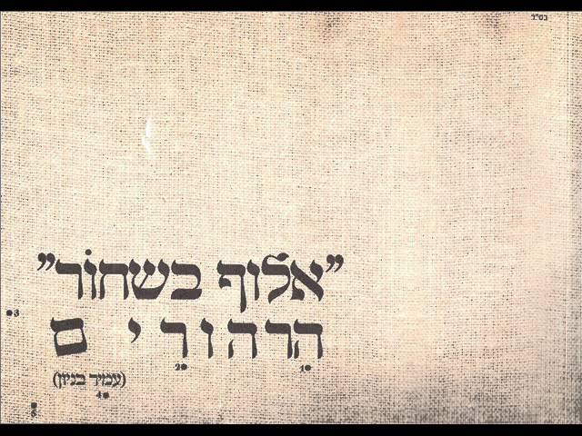 עמיר בניון ברוך השם שאי אפשר Amir Benayoun