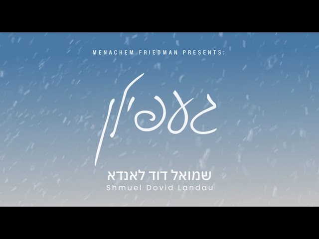 Shmuel Dovid Landau -  ״געפילן ״ Album Teaser