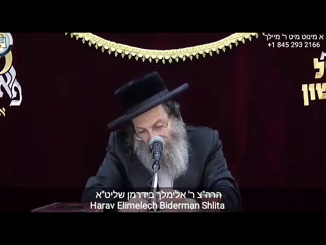 The Koach of Purim - Rabbi Elimelech Biderman shlit"a (Yiddish) - דער כח פון פורים