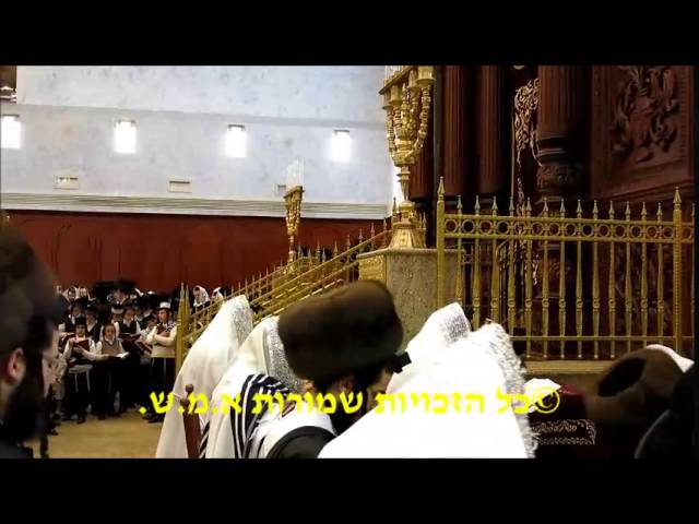 שמחת הברית לנכד האדמו״ר מבעלזא - שלמה נפתלי אלחנן רוקח | ח"א