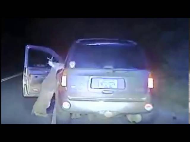 Police transmission of Deer vs person
