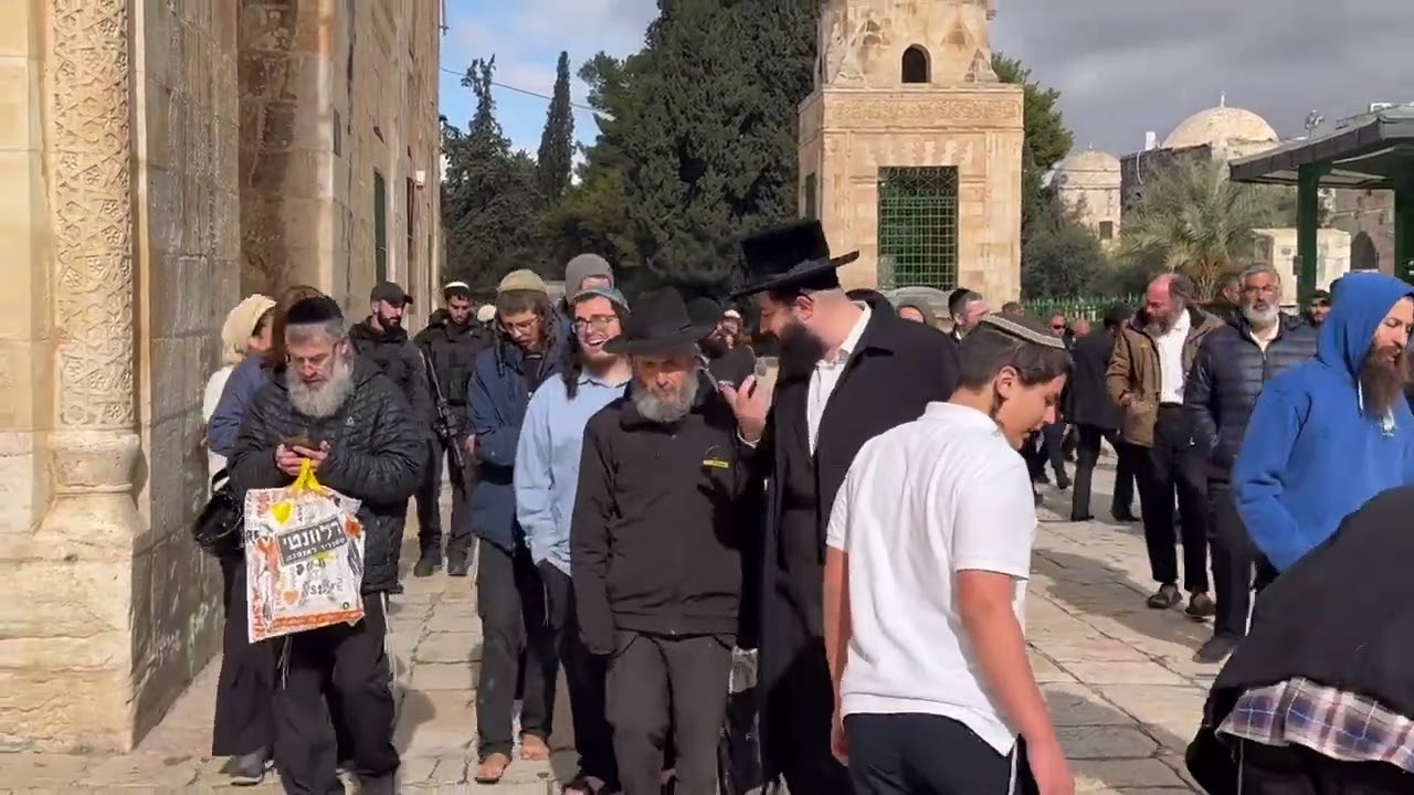 עשרה בטבת בהר הבית • שירים לאורך היום בעליות שחרית ומנחה 🏛️