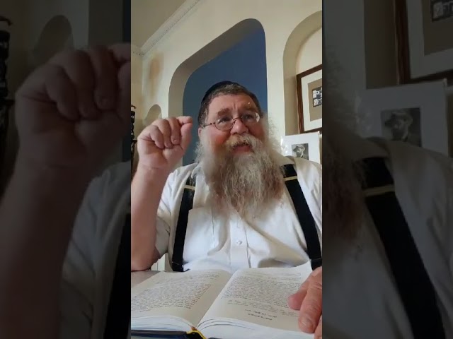 Practical Chasidus w Rabbi Chaim Dalfin - Maamar Choviv 1940 #1