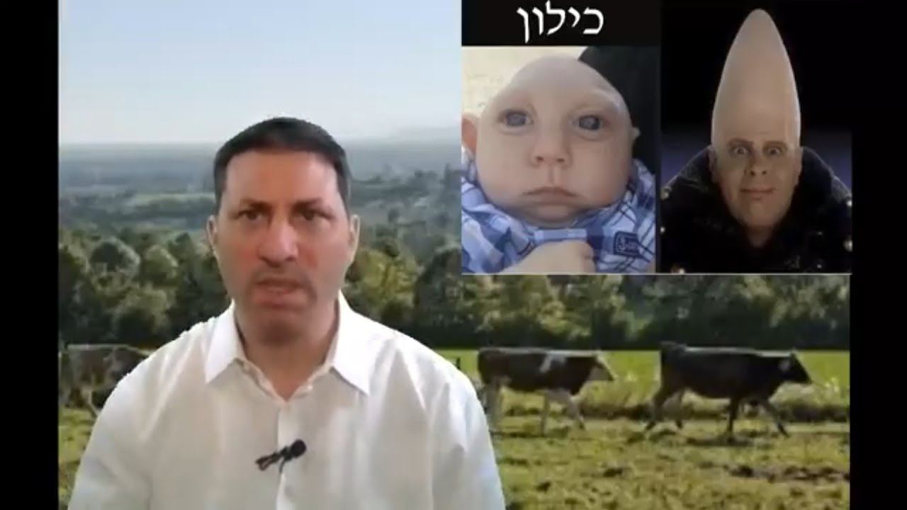 8 Min Daf - Bechoros Daf 43 by R’ Eli Stefansky