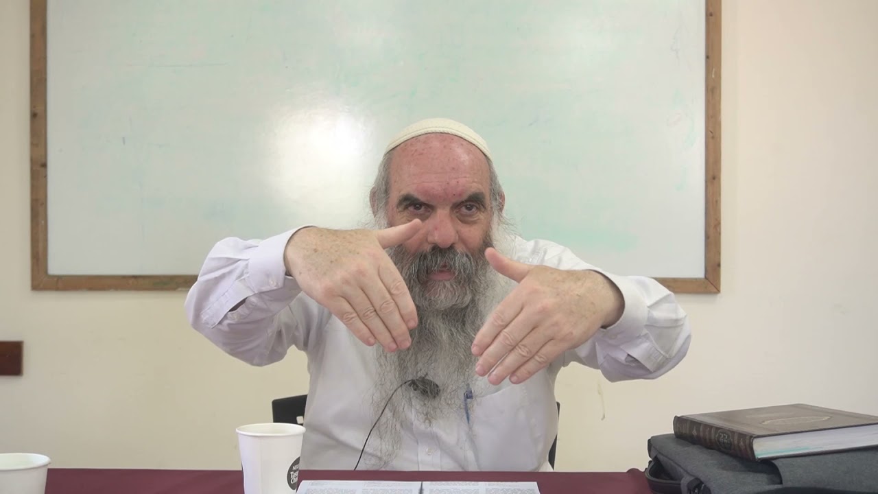 שלום המגיע על ידי ברכה | שפת אמת לפרשת נשא- תר"נ | הרב יהושע שפירא