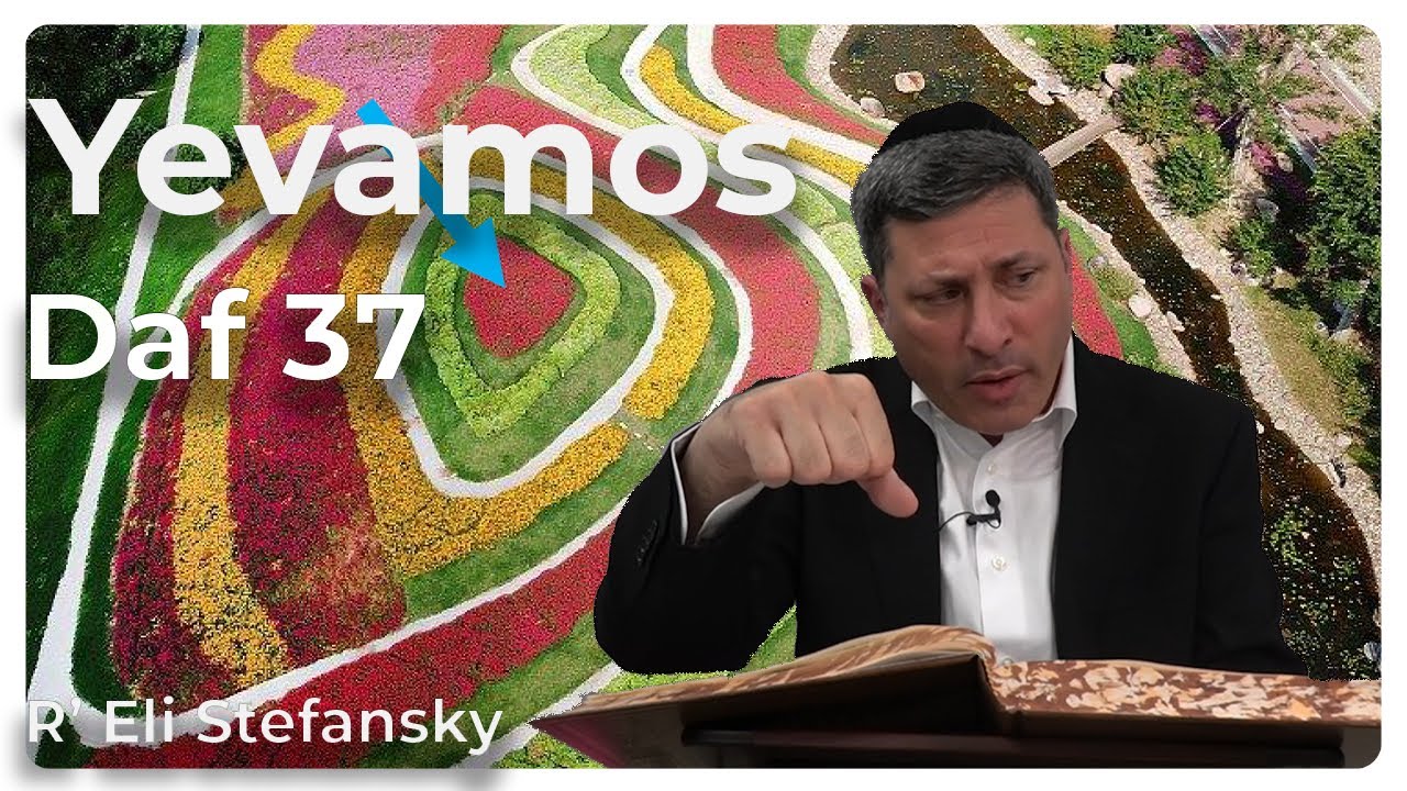 Daf Yomi Yevamos Daf 37 by R’ Eli Stefansky